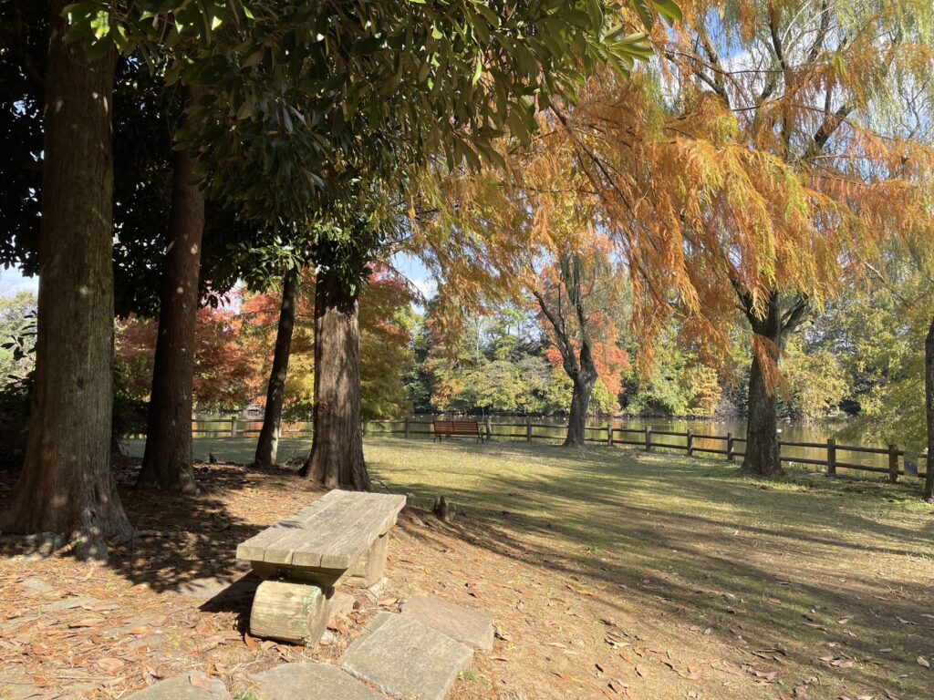 柏ビレジ水辺の公園・柏ビレジ第五公園の湖が見えるベンチ