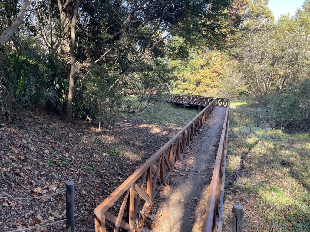 柏ビレジ水辺の公園・柏ビレジ第五公園のビオトープ