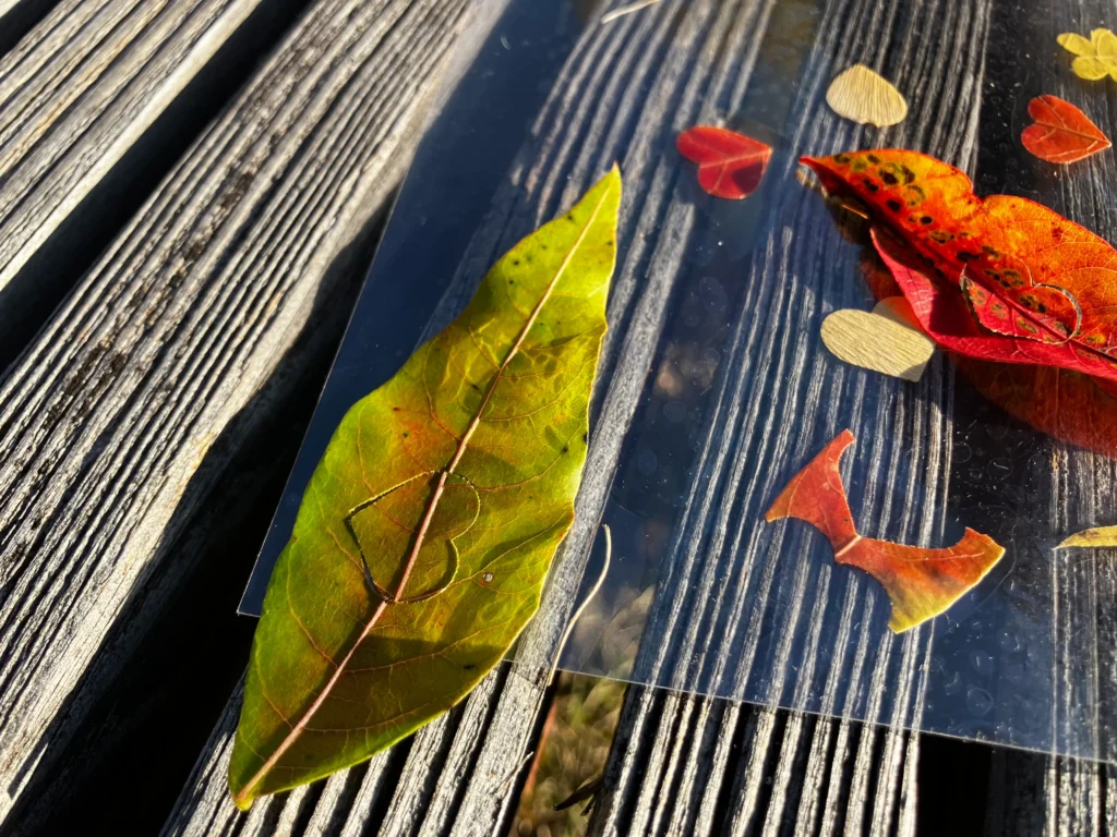 公園の落ち葉を手貼りラミネート×クラフトパンチで秋アートにのパズル遊び