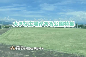 大きな広場がある公園特集のアイキャッチ