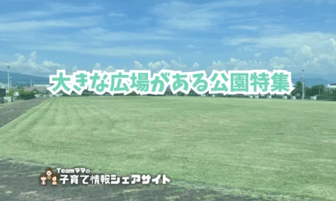 大きな広場がある公園特集のアイキャッチ