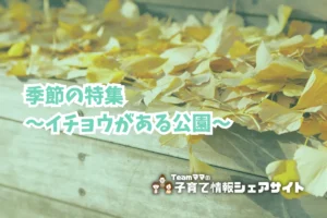 季節の特集~イチョウがある公園~のアイキャッチ