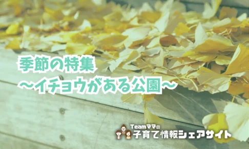 季節の特集～イチョウがある公園～のアイキャッチ