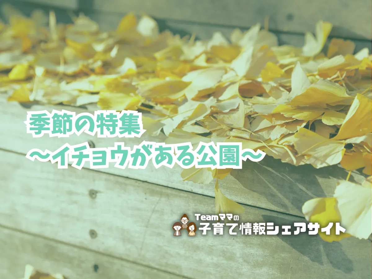 季節の特集~イチョウがある公園~のアイキャッチ