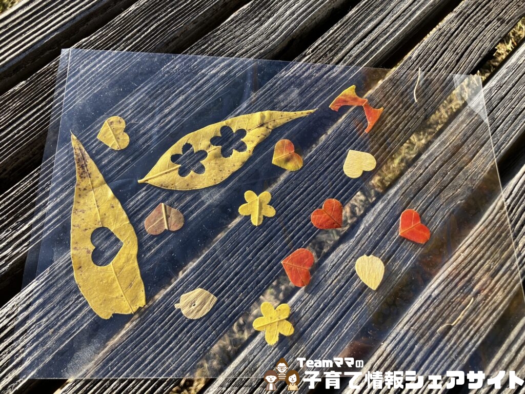 公園の落ち葉を手貼りラミネート×クラフトパンチで秋アートにの葉っぱアート