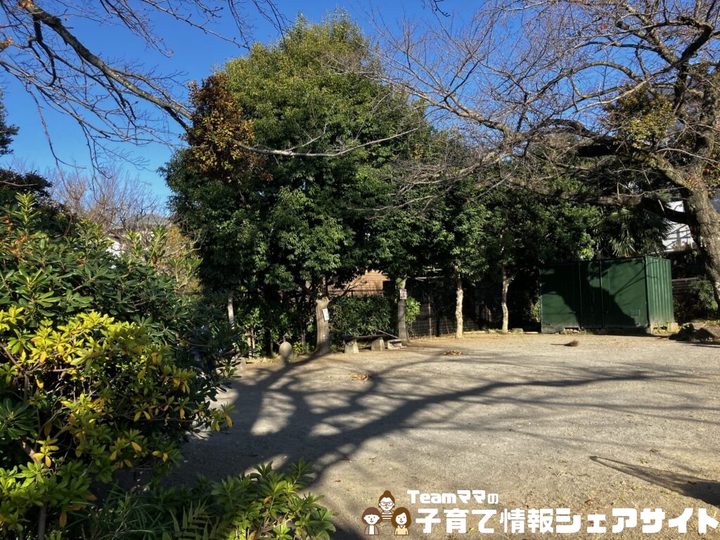 板橋公園の広場