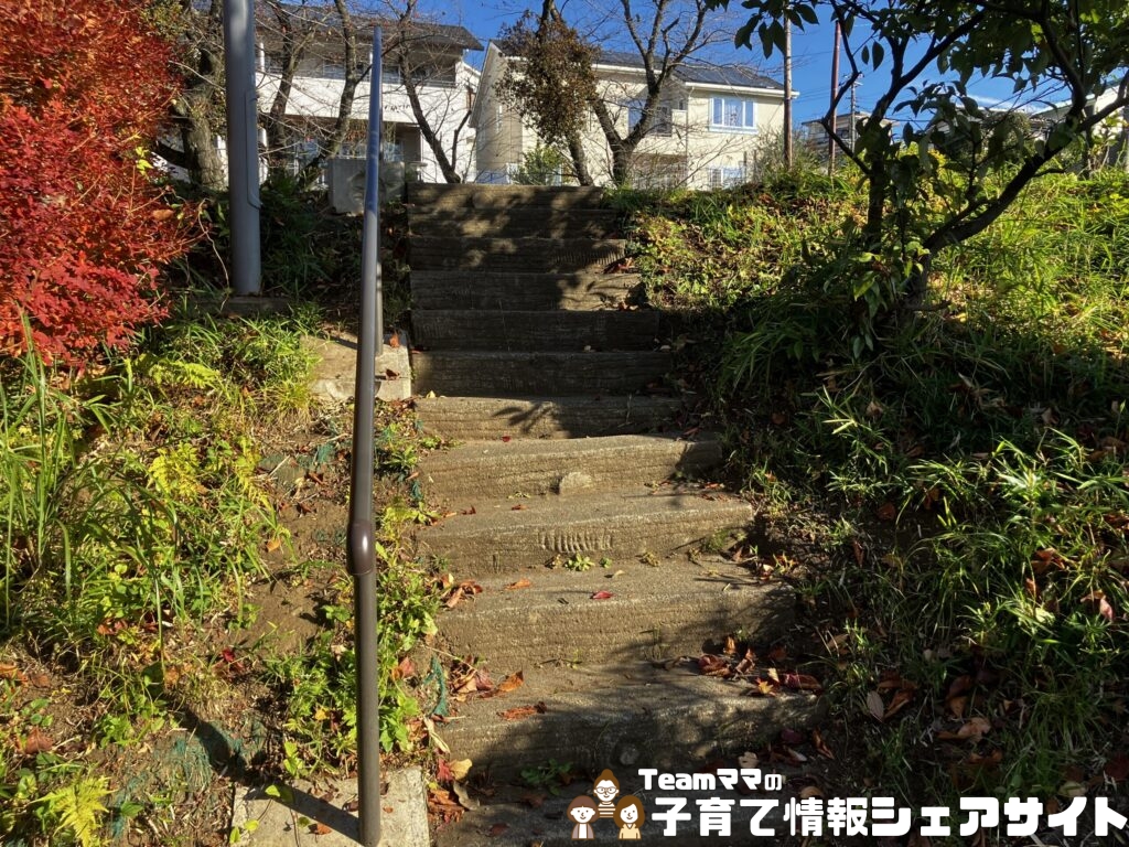 板橋公園の広場階段