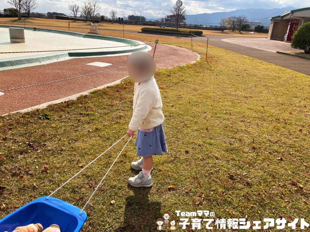 雪遊び&公園で大活躍!4歳と使ったコスパ最強ソリのスノーボードを引っ張る子ども
