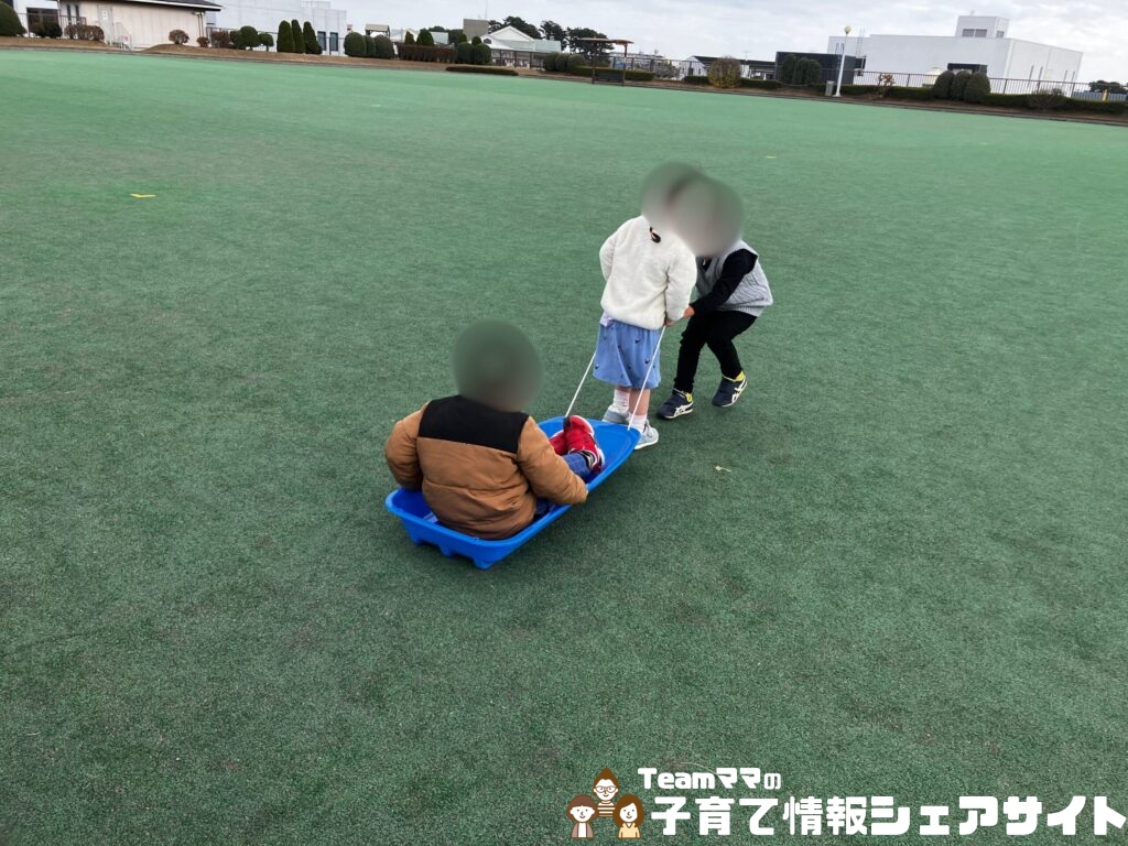 雪遊び&公園で大活躍!4歳と使ったコスパ最強ソリのスノーボードで遊ぶ子ども