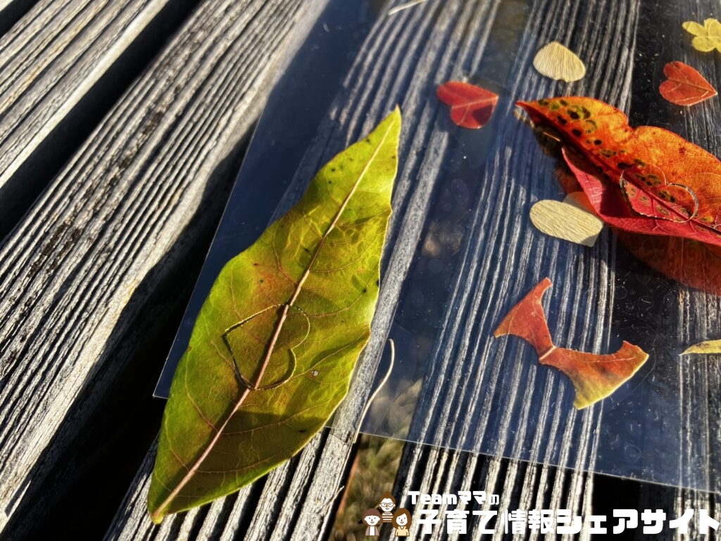 公園の落ち葉を手貼りラミネート×クラフトパンチで秋アートにのパズル遊び