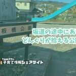 板橋公園の看板