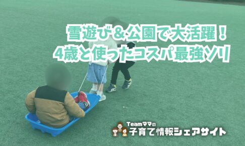 雪遊び&公園で大活躍!4歳と使ったコスパ最強ソリのアイキャッチ