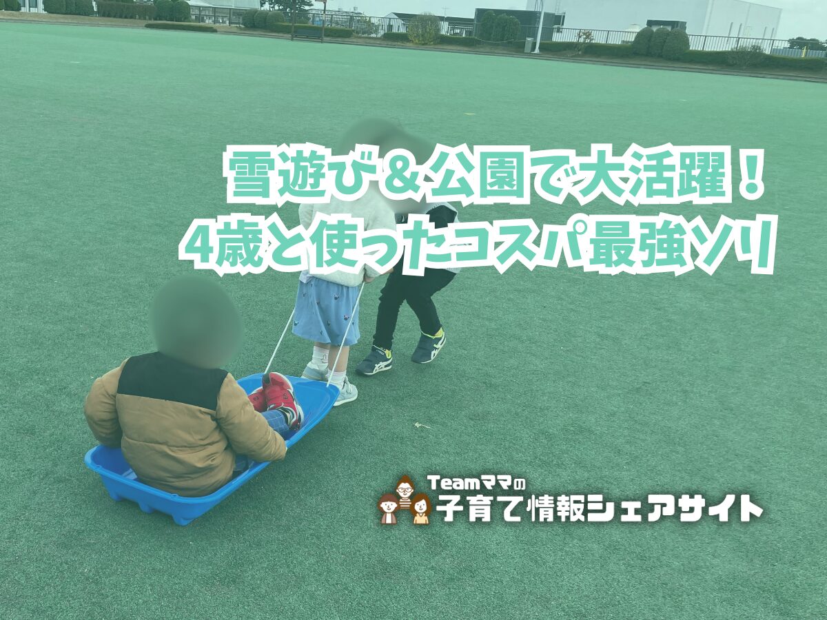 雪遊び&公園で大活躍!4歳と使ったコスパ最強ソリのアイキャッチ