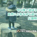 切り株で遊ぼう！自然にふれながら遊べる公園特集のアイキャッチ