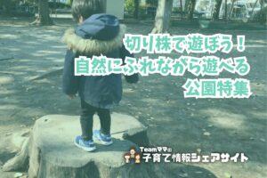 切り株で遊ぼう！自然にふれながら遊べる公園特集のアイキャッチ