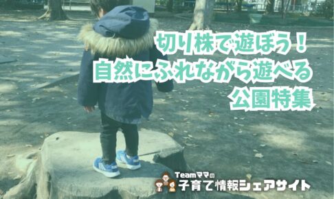 切り株で遊ぼう!自然にふれながら遊べる公園特集のアイキャッチ
