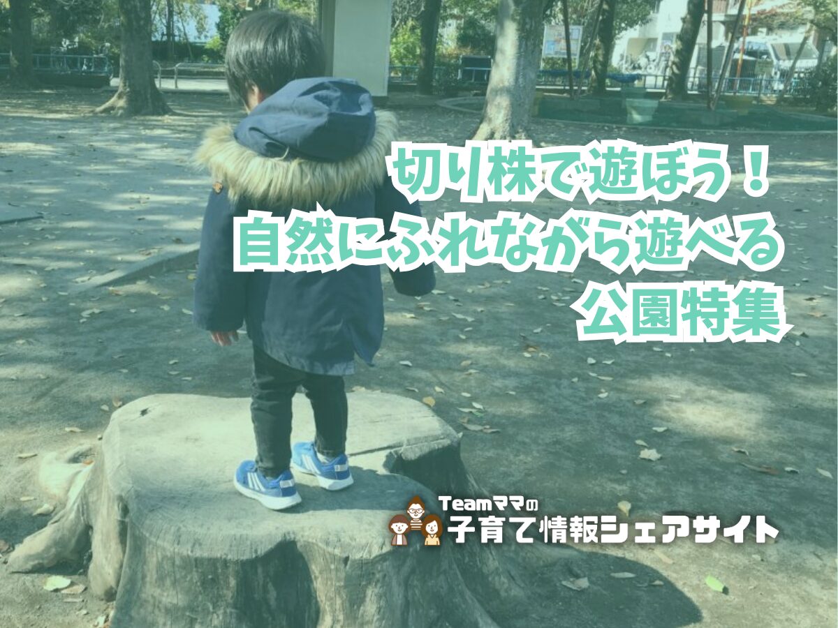 切り株で遊ぼう!自然にふれながら遊べる公園特集のアイキャッチ