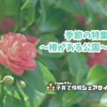 季節の特集～椿がある公園～のアイキャッチ