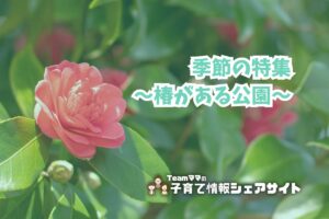 季節の特集～椿がある公園～のアイキャッチ