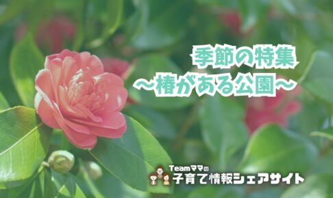 季節の特集～椿がある公園～のアイキャッチ