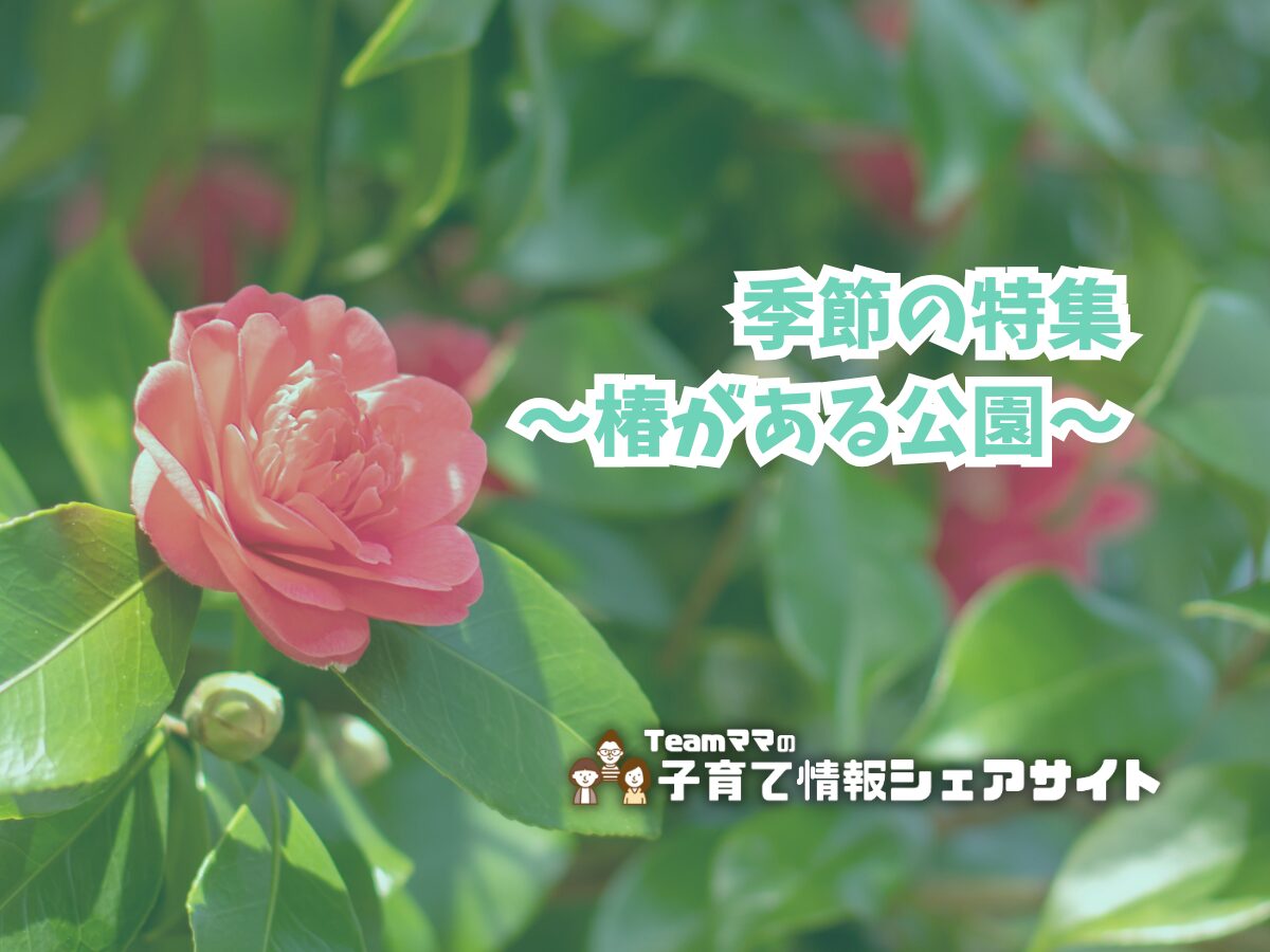 季節の特集～椿がある公園～のアイキャッチ