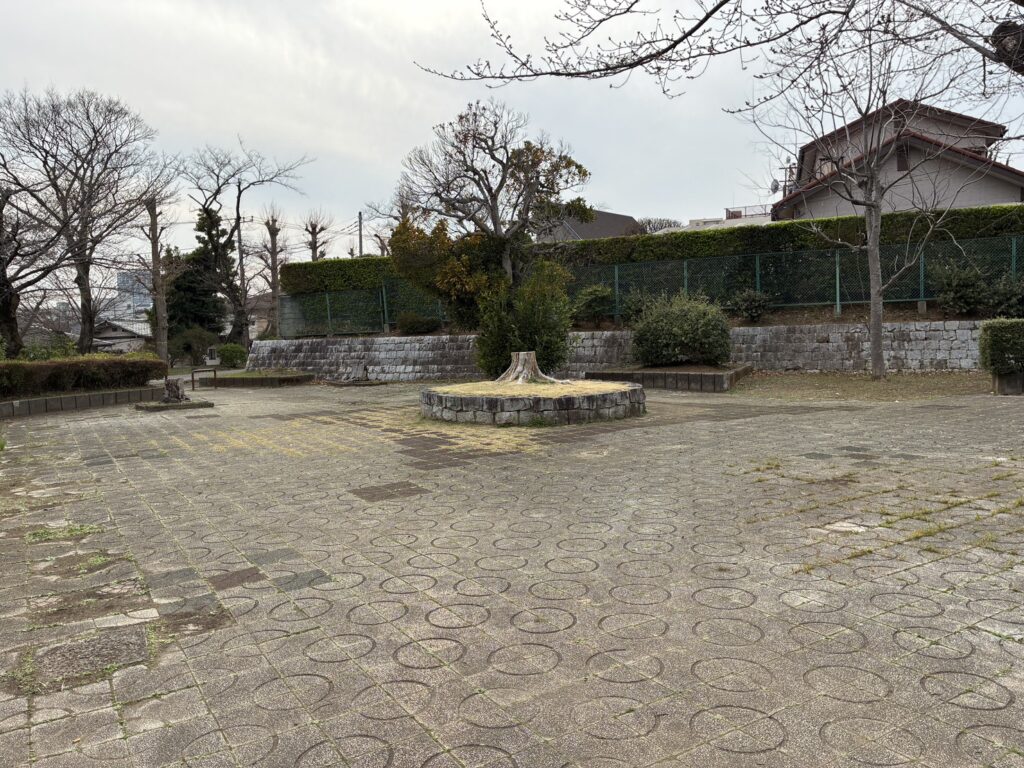 柏公園の石畳の広場