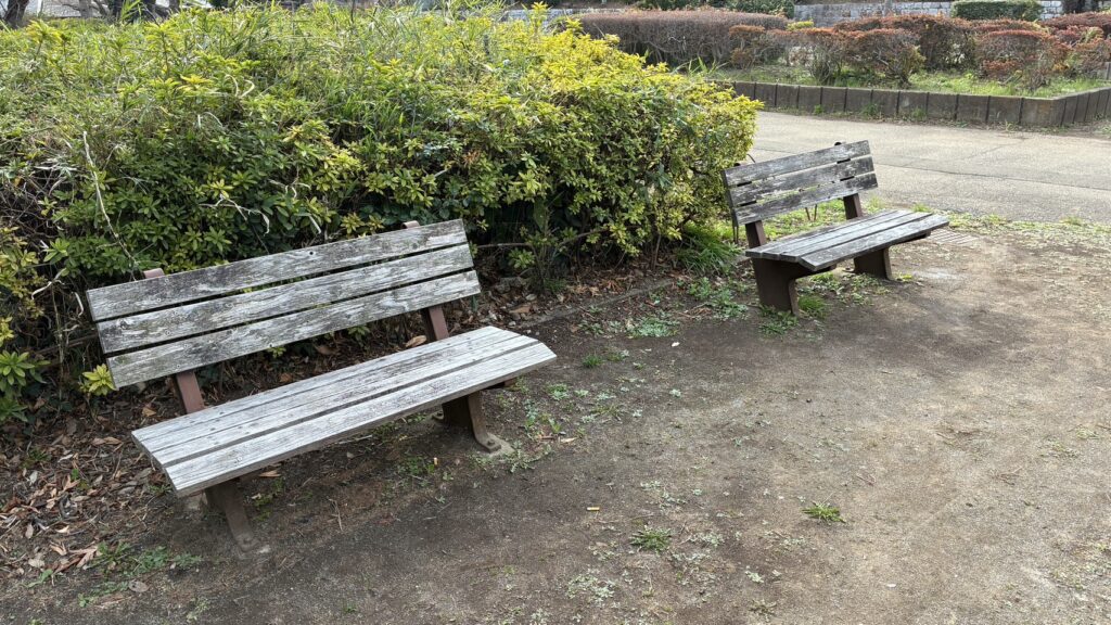柏公園のベンチ