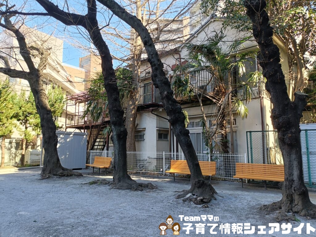 巣鴨四丁目児童遊園の木々