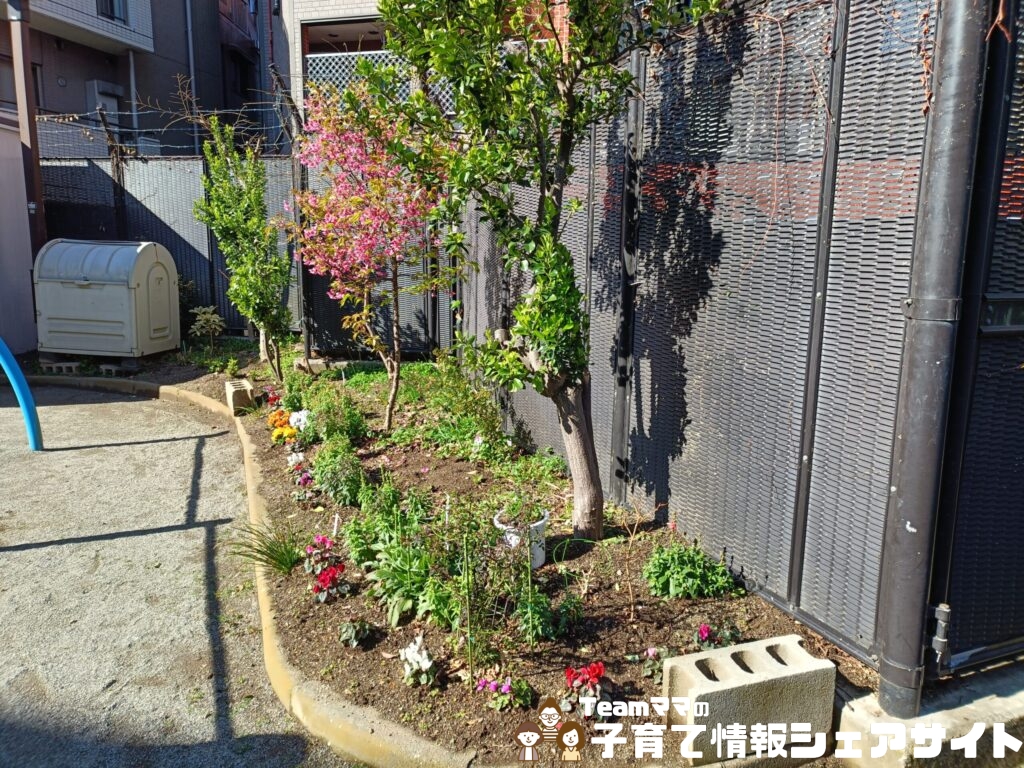巣鴨四丁目折戸児童遊園の花壇