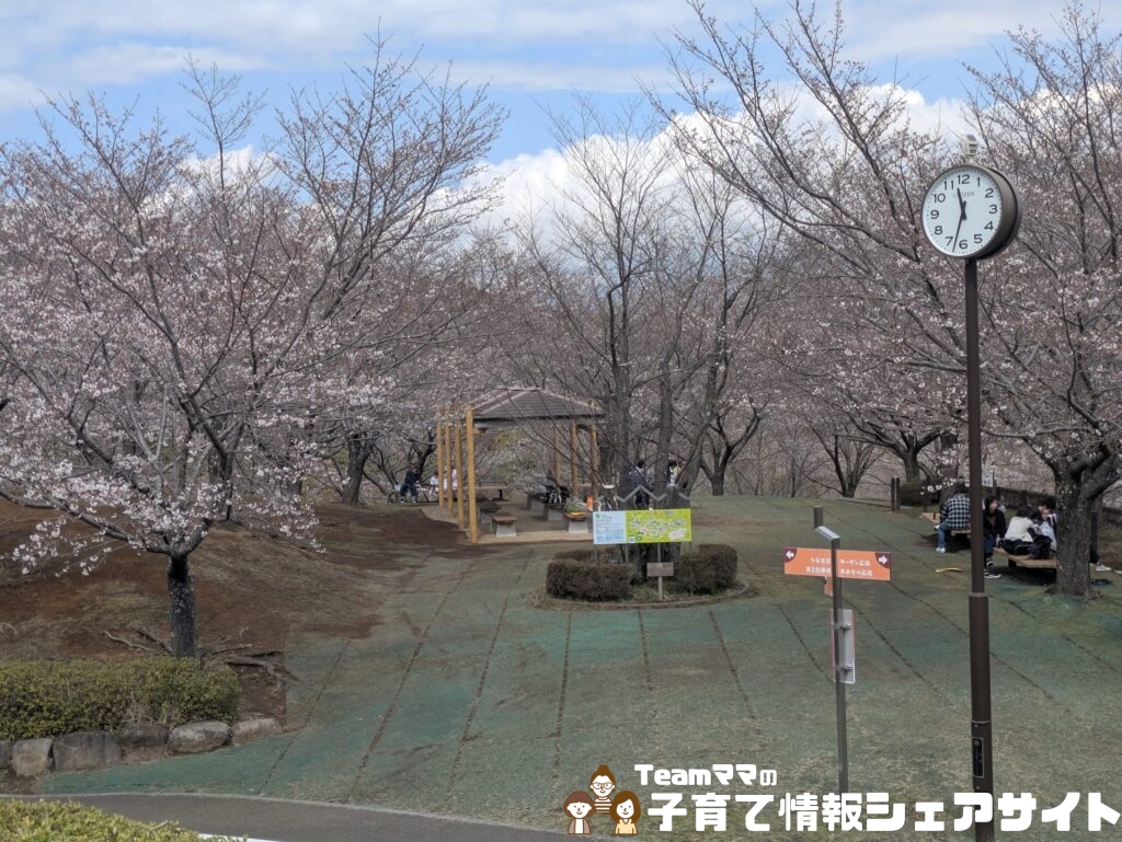 わんぱくらんどの小田原城アドベンチャー前の広場