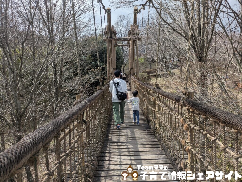 わんぱくらんどのわんぱく大橋