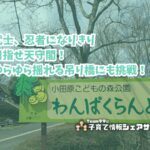 小田原こどもの森公園 わんぱくらんど 小田原城アドベンチャー・わんぱく大橋の看板