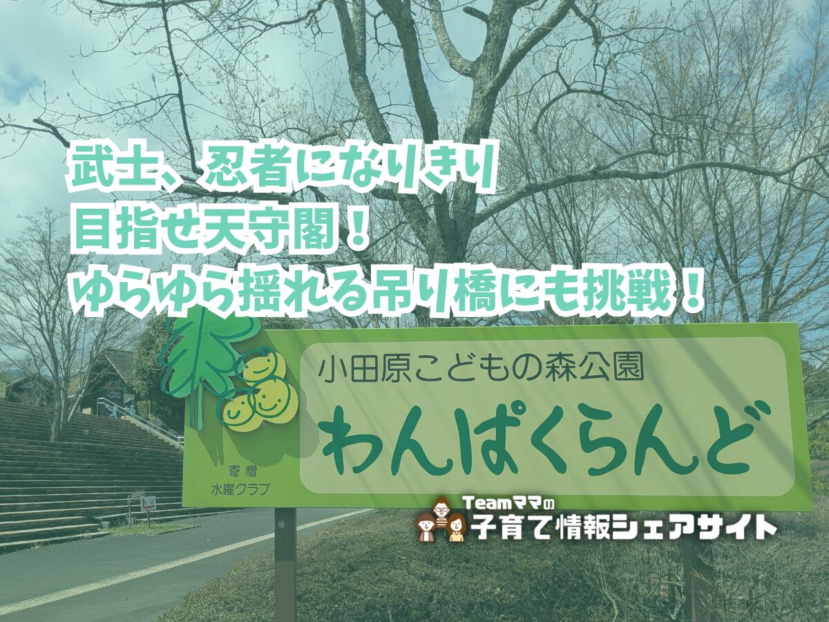 小田原こどもの森公園 わんぱくらんど 小田原城アドベンチャー・わんぱく大橋の看板