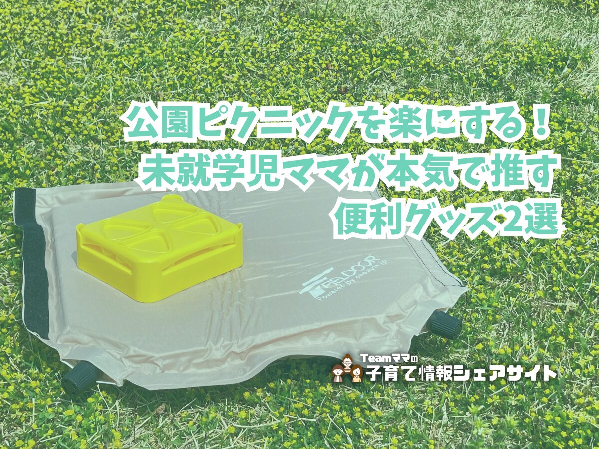 公園ピクニックを楽にする!未就学児ママが本気で推す便利グッズ2選のアイキャッチ