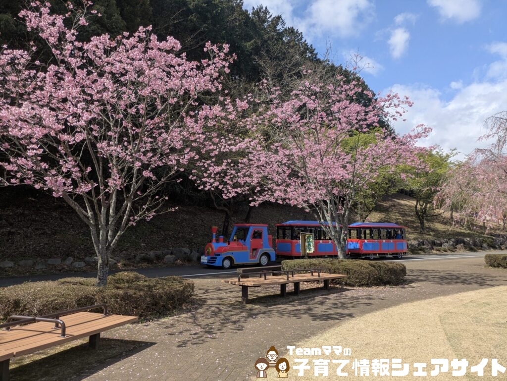 わんぱくらんどの園内停留場