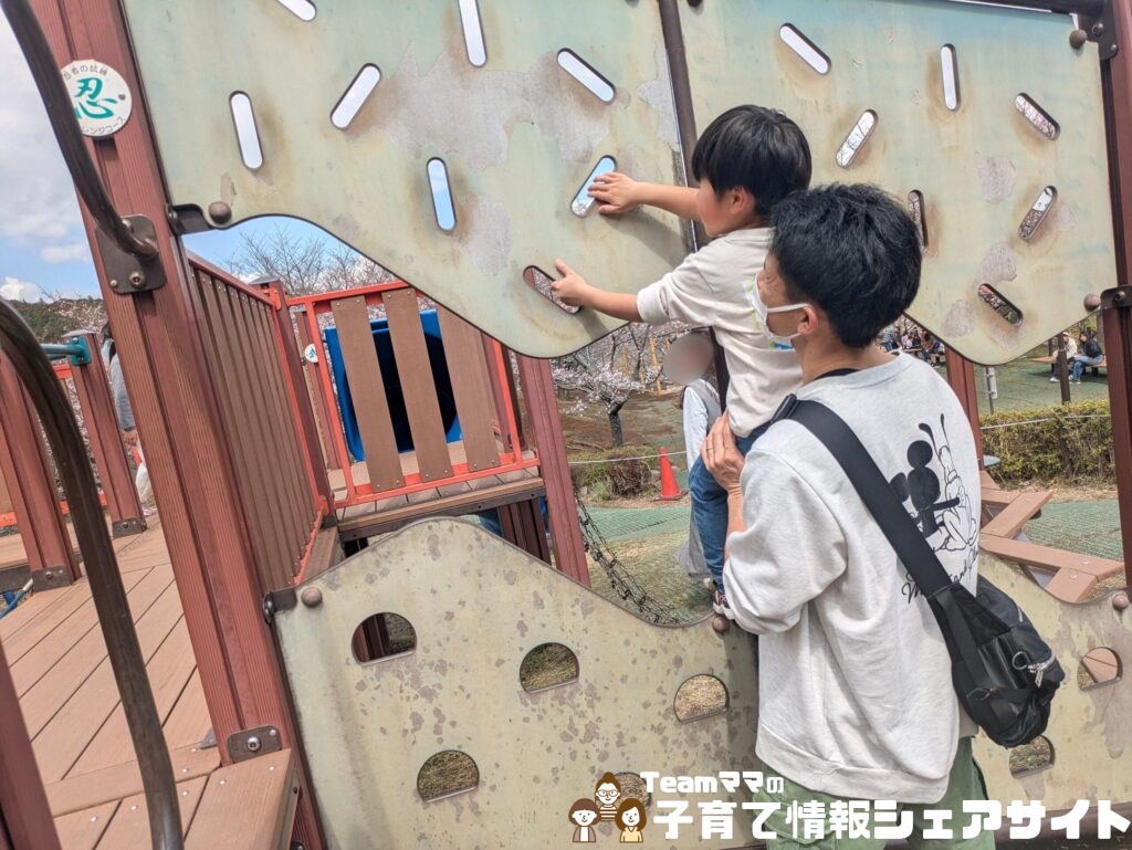 わんぱくらんどの小田原城アドベンチャーのウォールクライミング