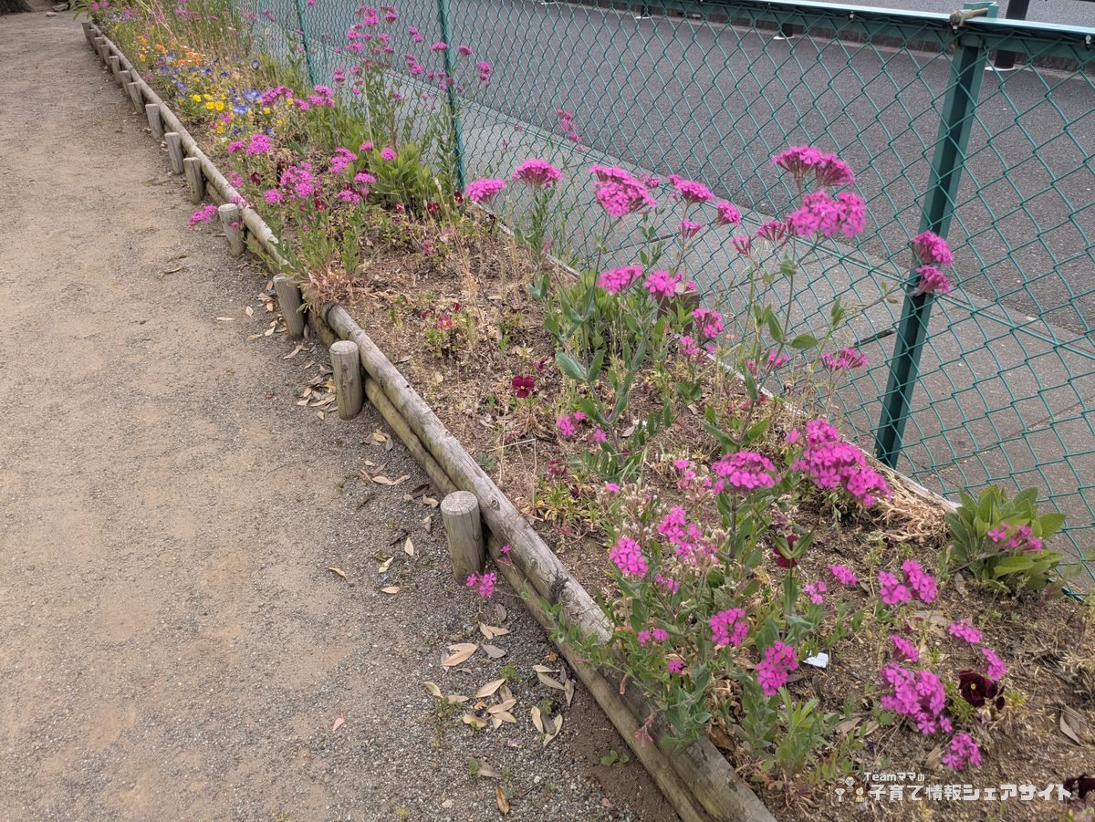 成田公園の花壇