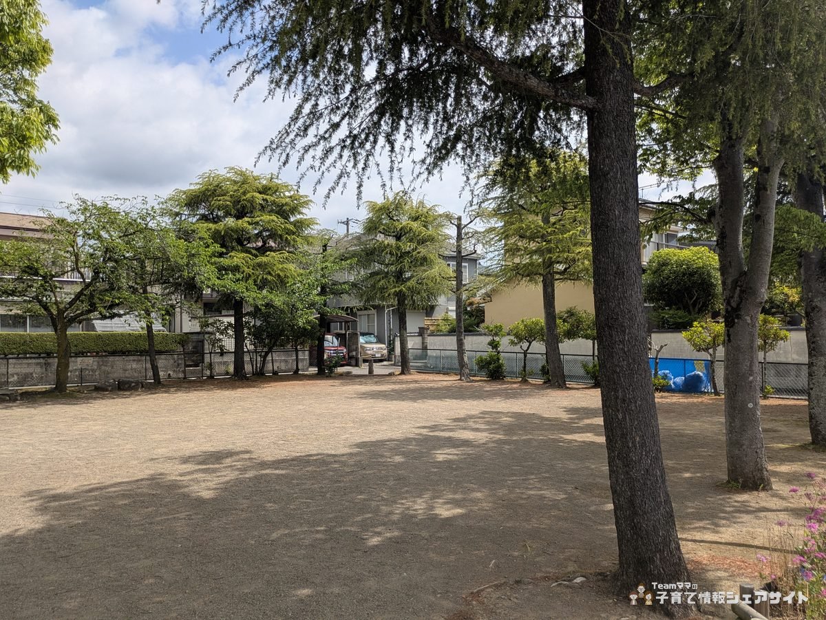 成田公園の広場