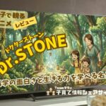 【親子で観るアニメレビュー】『Dr.STONE』科学の面白さと生きる力を学べる名作